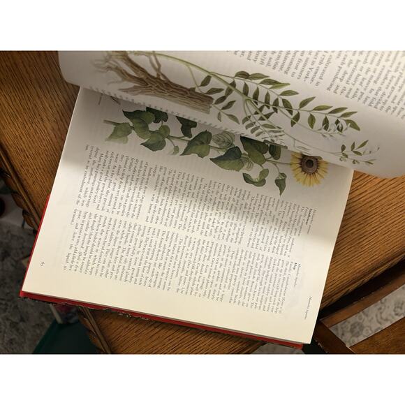 The Complete Book of Herbs and Spices by Sarah Garland Hardcover Book - Picture 7 of 10